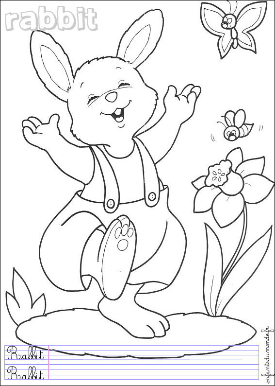 coloriage lapin 3